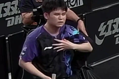 WTT退赛规则真相：读懂国乒集体退赛背后的深层逻辑